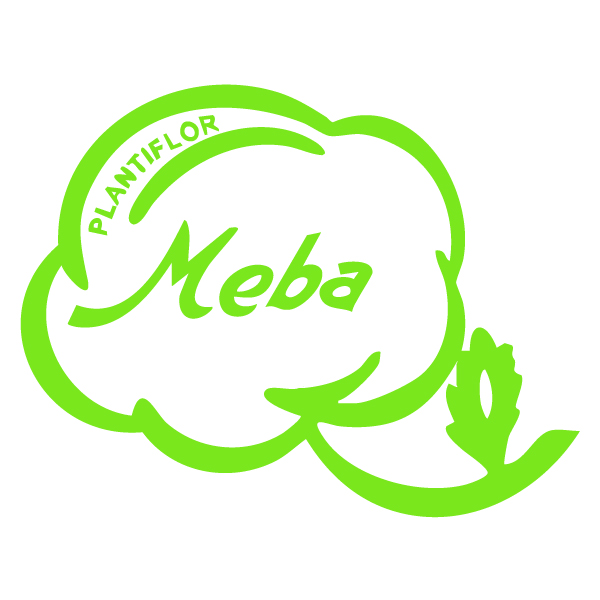 Meba Logo