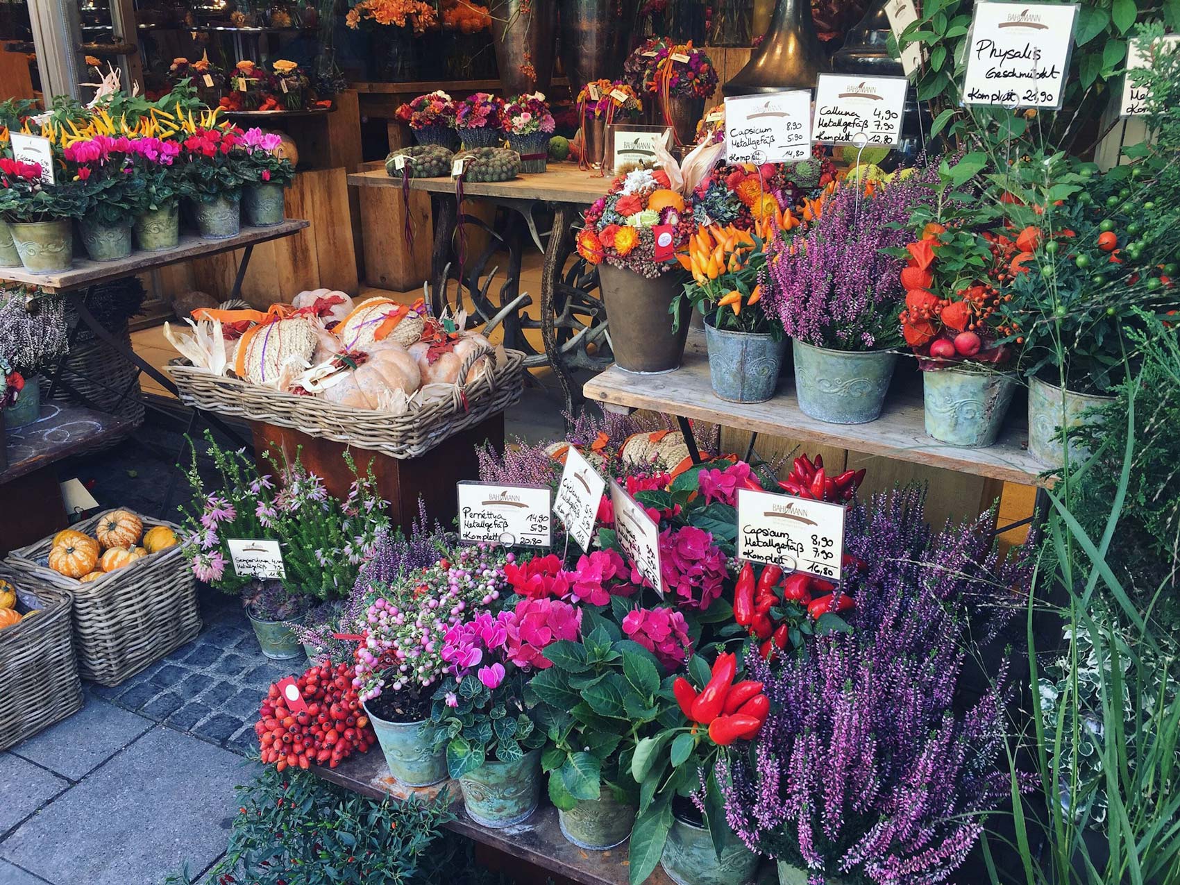 Meba floristería